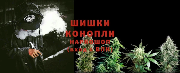 каннабис Новокубанск