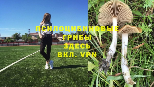 марки nbome Нязепетровск
